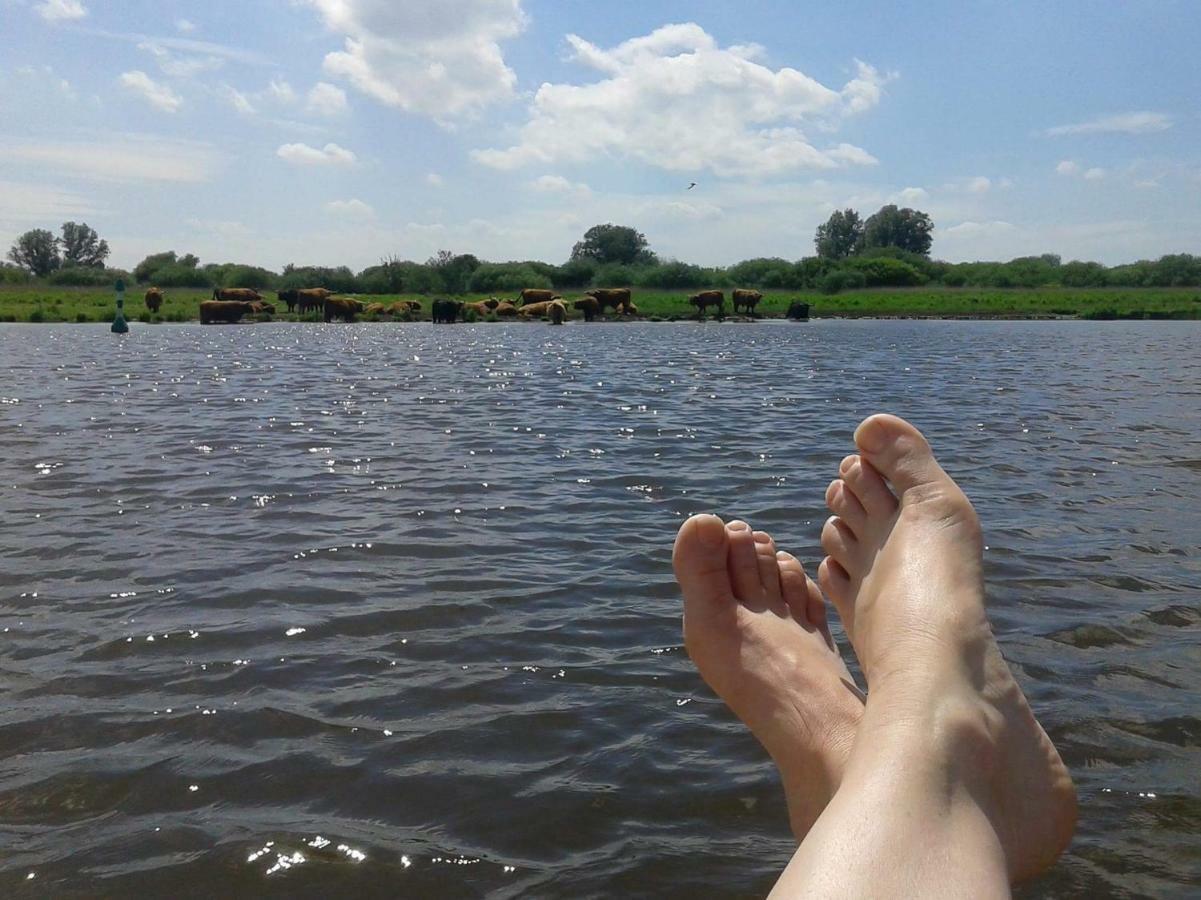 Bed en breakfast Uitrust Lauwerzijl Buitenkant foto